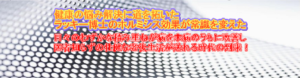 トーマス・Ｄ・ラッキー博士の偉大な研究成果